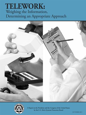 cover image of Telework: Weighing the Information, Determining an Appropriate Approach